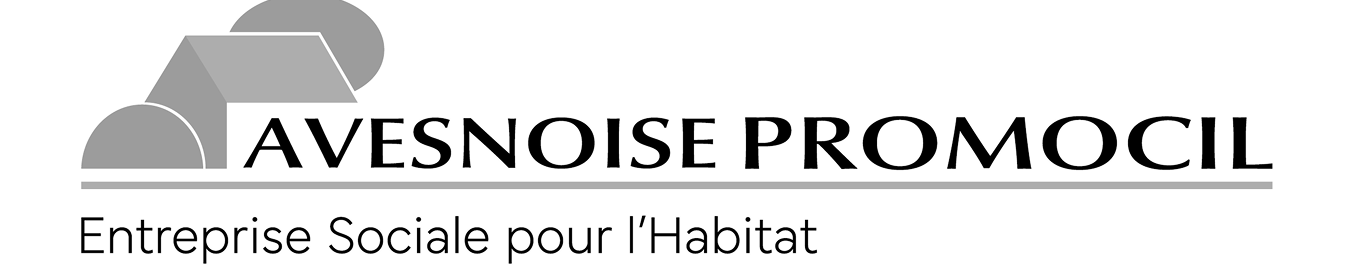 Avesnoise promocil